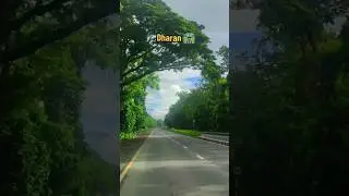 dharan jungle roads 🛣️ 