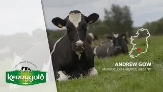 Farmer Andrew Gow ► Kerrygold