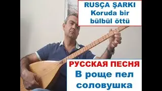 Russian Folk Song  - В роще пел соловушка - A nightingale sang in the grove