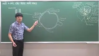 ĐẦU-MẶT-CỔ: NHÃN CẦU - (2) ÁO XƠ