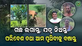 ଗୋଟିଏ ଗଛ ଲଗାନ୍ତୁ, ଯତ୍ନ ନିଅନ୍ତୁ ଏବଂ ଆମ ପୃଥିବୀକୁ ବଞ୍ଚାନ୍ତୁ | Odisha Sanket