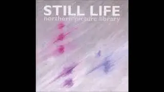 Northern Picture Library - Here To Stay