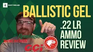 Ballistic Gel  22 Ammo Review