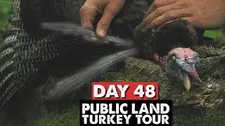 DOUBLE BEARDED GOBBLER! - Turkey Tour Wrap Up