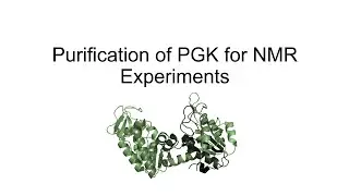 Phosphoglycerate Kinase (hPGK1) and it's purification