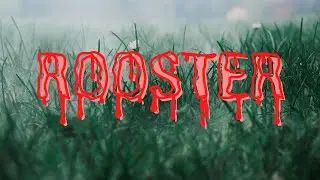Rooster: explaining Alice in Chains song