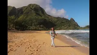 WhileWild - Hawaii (Official Music Video) 4K