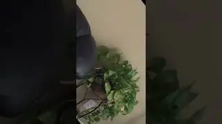 Rotate & Flip Video | PowerDirector 
