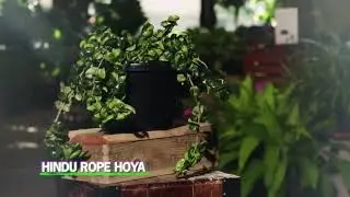 Am Nursery & Landscape Video Edited By ASK