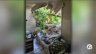Tree crashes into Canton home during storm, injuring one, neighbors seek support for homeowner
