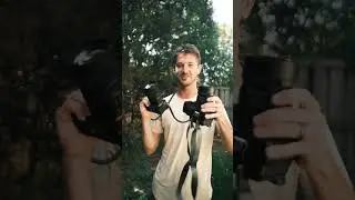 Full Frame vs Medium Format - Which is A or B? 