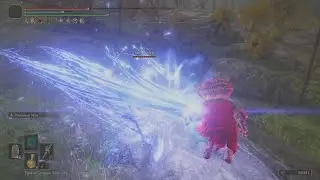 when you invade a hacker in Elden Ring