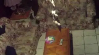 ALIEN CAUGHT ON SECURITY CAMERA!!!!......01-20-2010