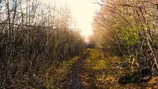 городские тропы Тюмень