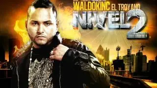 Waldokinc el Troyano - tu eres vaga