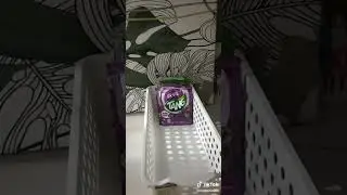 ASMR TANG