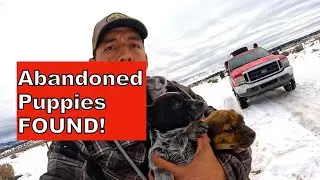 -5 degree weather, abandoned puppies found on my firewood trip!