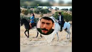 #песня