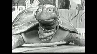 CBC Razzle Dazzle clip