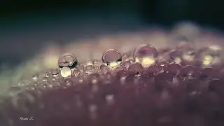 Mój kropelkowy świat #spokojnamuzykarelaksujaca #calmrelaxingmusic