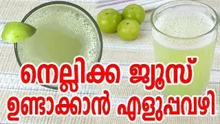 നെല്ലിക്ക ജ്യൂസ് ഉണ്ടാക്കാൻ എളുപ്പവഴി | Easy way to make Amla juice (Gooseberry) | Easy Homely Tips