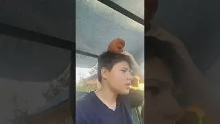 КАК НАЗЫВАЕТСЯ ПЕСНЯ ?#shorts #meme #юмор #деспасито