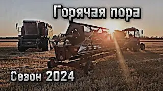 Палессе, КАМАЗ и МТЗ на уборке пшеницы
