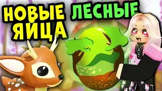 ОБНОВА! ЛЕСНЫЕ ЯЙЦА в Адопт ми! Новые ПЕТЫ! UPDATE! FOREST EGGS in Adopt Me! New PETS!