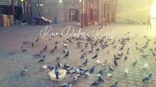 Abra Bur Dubai Birds playing 
