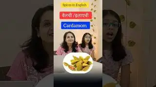 Spices in English 🫒🧅🫘For online #spices #reel #viral #spokenenglish #prachi