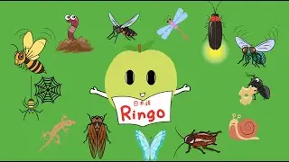 JP6 - こんちゅう - CÔN TRÙNG - HỌC TIẾNG NHẬT CÙNG VỚI RINGO | TIẾNG NHẬT TRẺ EM #nihongo #tiengnhat