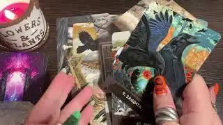 КАК ПРОШЛИ ВАШИ ЧИСТКИ?