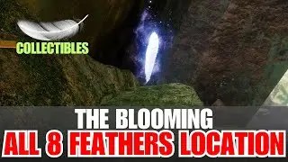 All 8 Feathers Location Guide in The Blooming | Feathers in The Blooming Triumph | Destiny 2