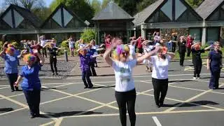 Is This The Way To Amarillo - St John's Hospice