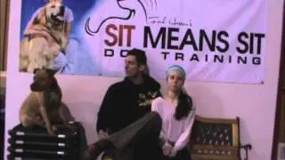 Pit Bull Dog Training