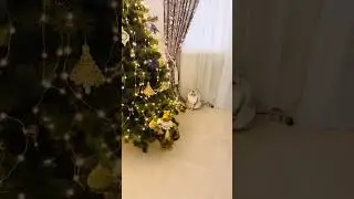 Наверно убедить не получится,но я попробовал.