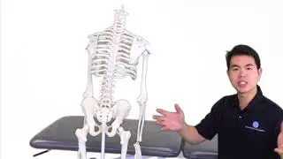 Physio U   Pelvic Pain Mentoring Minutes