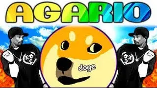 играем в Agario FrostHots