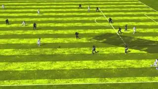 FIFA 14 iPhone/iPad - Dynamo vs. Newcastle Utd