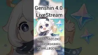 Codes 4.0 LiveStream Genshin Impact