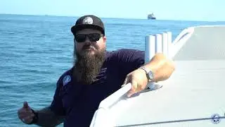 Inspiring Future -  Dolphins