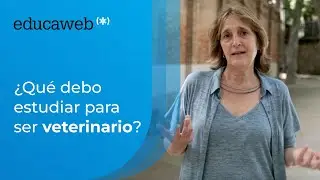 ¿Qué debo estudiar para ser veterinario?
