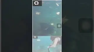 Save they environment
