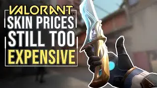 Valorant Skins are STILL Too Expensive! (Valorant Skin Prices)