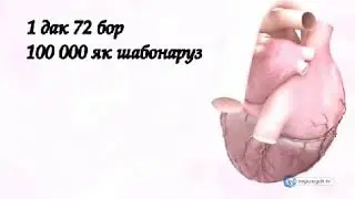 Мучизаи қалби Инсон