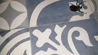 Бали. Улувату