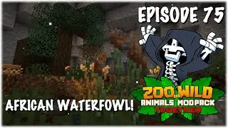 The Hamerkop Exhibit - Minecraft SMP: Zoo and Wild Animal (ZAWA) Mod - S3E75