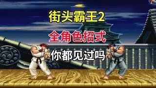 【街头霸王2】【Street Fighter II】全角色招式你都见过吗  一部游戏代表了一个时代