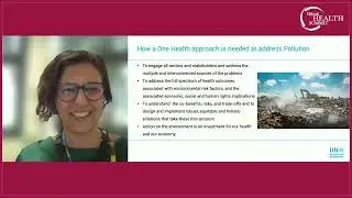 Dr. Maria Cristina Zucca, Head of the Pollution and Health Unit, UNEP