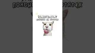 Как понять что ты будущий депутат?